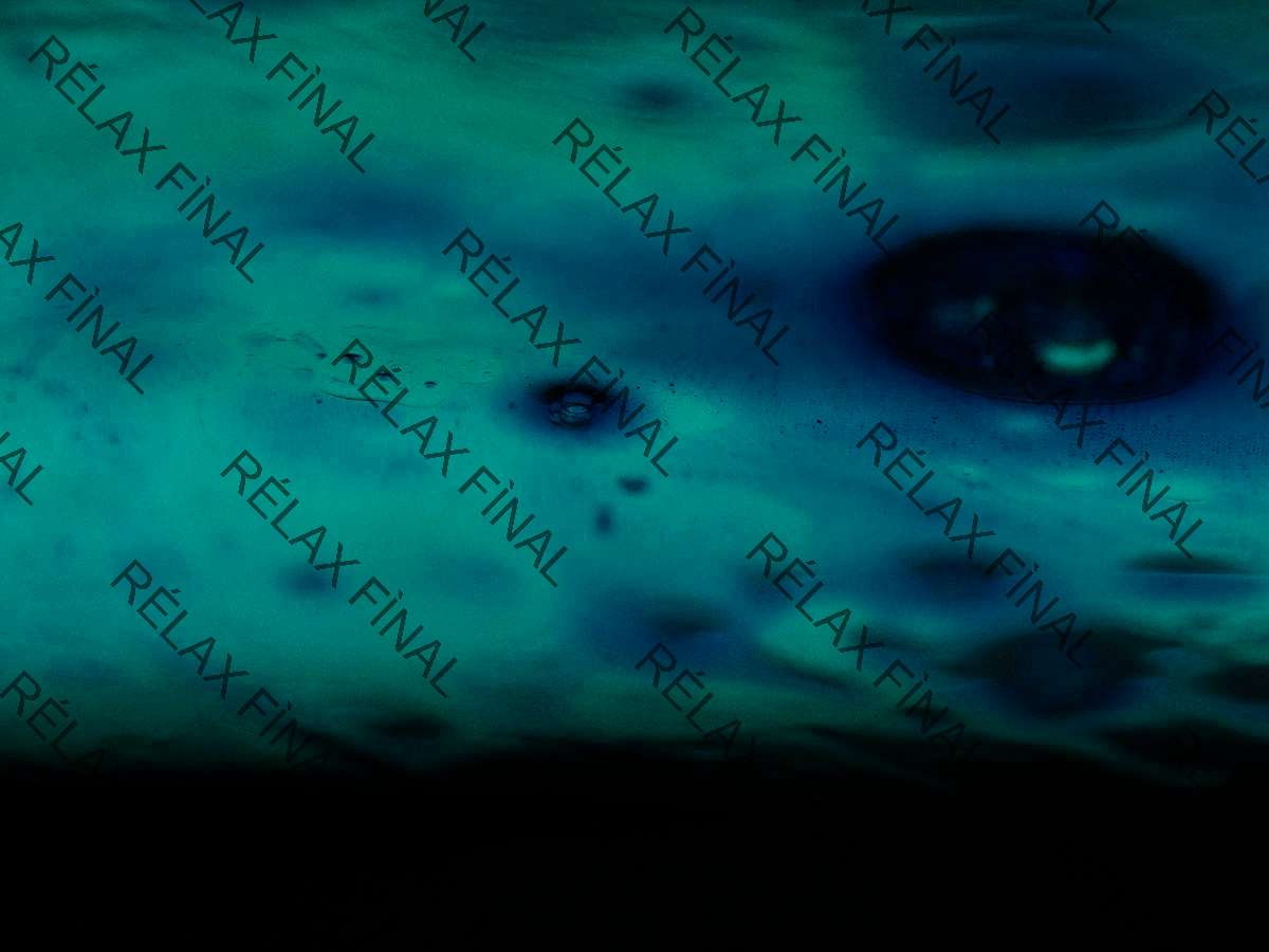 Water Bowl #00004
